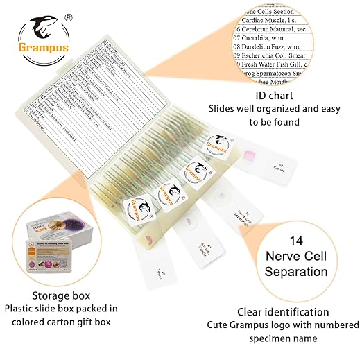 30 Prepared Microscope Slides with Specimens for Kids Students - Histology, for Biological Science Lab, Children's Science Education, Homeschooling Use