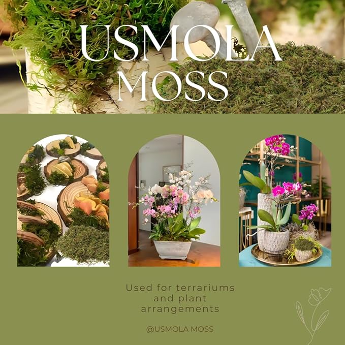 Fake Green Moss for Potted Plants, 4OZ Artificial Moss for DIY Crafts, Faux Moss for Table Centerpieces Fairy Garden Decor (Fresh Green 140gr)