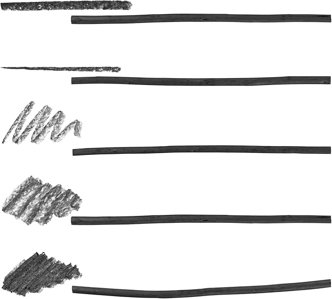 Pacific Arc Artist Vine Charcoal, Medium, Black 12 Pieces, Artist Vine Charcoal Sticks, Medium and Smooth Drawing Charcoal