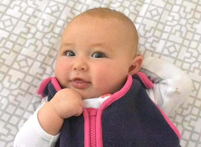 baby deedee Sleep nest Fleece Baby Sleeping Bag, Purple Rain, Large (18-36 Months)