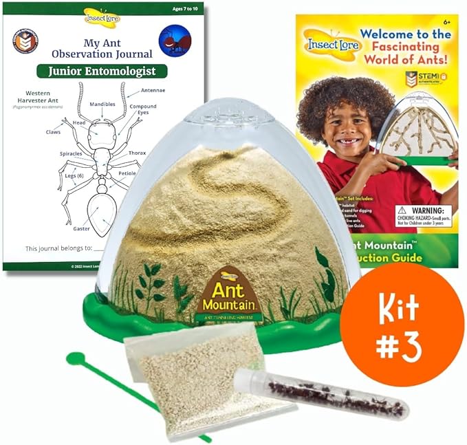 Insect Lore Bug Camp Bundle - Butterfly Kit with 5 Live Caterpillars, Ladybug Land with 1 Tube Live Larvae, Ant Mountain with 1 Tube Live Western Harvester Ants - Bonus Life Cycle Figurines & More
