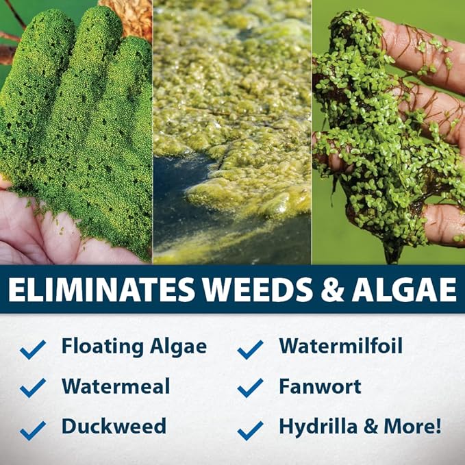 Airmax Knockdown Defense 2-in-1 Liquid Pond Algae Control, Effective & Fast Acting Algaecide, Aquatic Weed Treatment for Clear Water in Ponds & Lakes, Liquid Formulation for Easy Use, 16 fl oz