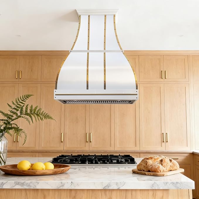 CHETTO C Stainless Steel Range Hood Cover with 4-Speed Vent Hood Insert Custom Handcrafted Metal Kitchen Fan with Towel Rack LED Light 42"W x27"D x54"H White Island Mount