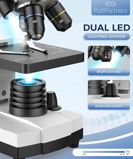 Compound Microscope for Adults & Kids - 100X-2000X High-Power Biological Microscope for Students, School Lab & Home Education, with Slides Set & Phone Adapter (White)