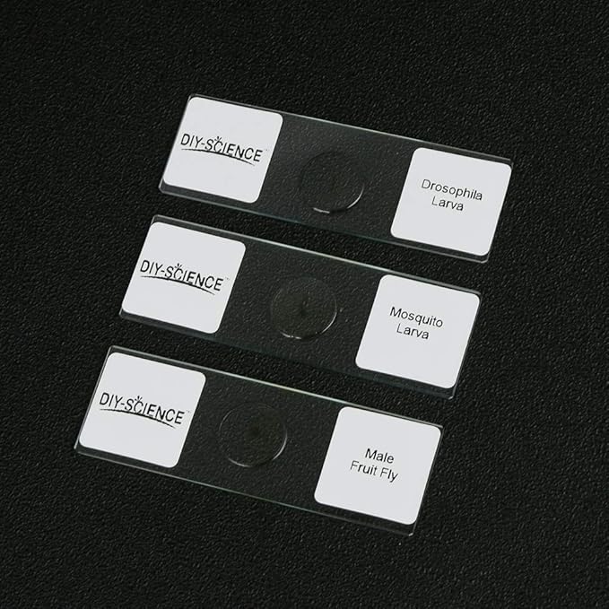 Prepared Whole Insects Microscope Slides Set, 10pcs Specimens for Kids Students Biology Class, Educational Gift (Whole Insects)