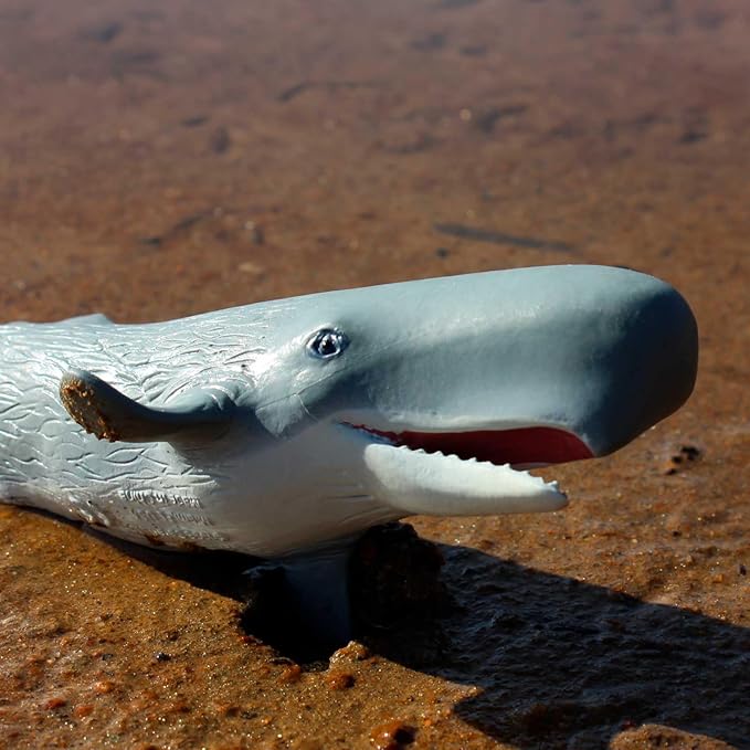 Safari Ltd. Sperm Whale Figurine - Detailed 8.5" Plastic Model Figure - Fun Educational Play Toy for Boys, Girls & Kids Ages 3+