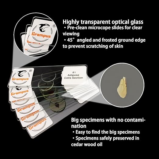 30 Prepared Microscope Slides with Specimens for Kids Students - Insects, for Biological Science Lab, Children's Science Education, Homeschooling Use