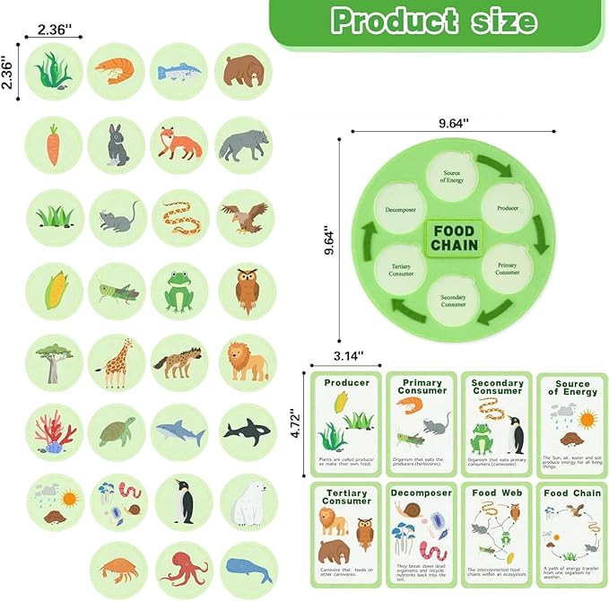 Life Cycle Toys for Kids-Food Chain & Food Web Science Education Toys - Montessori Animal Life Cycle Learning Toys for Toddlers-Preschool Classroom Must-Have Science Kits for Kids
