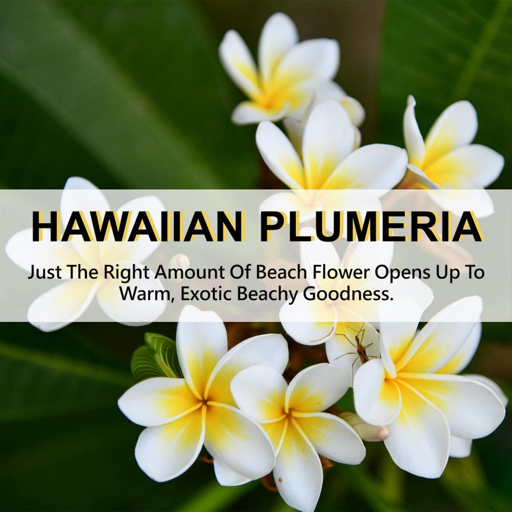 ROSE COTTAGE Large 12 Packs Hawaiian Plumeria Hanging Closet Air Freshener Scented Sachets Long Lasting Smell Goods
