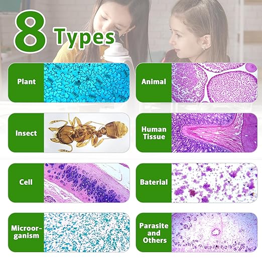 120 Microscope Slides with Specimens,Prepared Microscope Slides for Kids,Glass Slides for Microscope,Prepared Slides for Kids Microscope,Microscope Slide Preparation Kit for Biology Science Classes