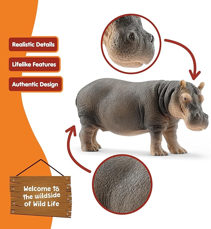 Schleich Wild Life Realistic Detailed Hippopotamus Figurine - Wild Hippo Figurine Toy for Play and Education, Highly Durable and Detailed, for Boys and Girls, Gift for Kids Ages 3+