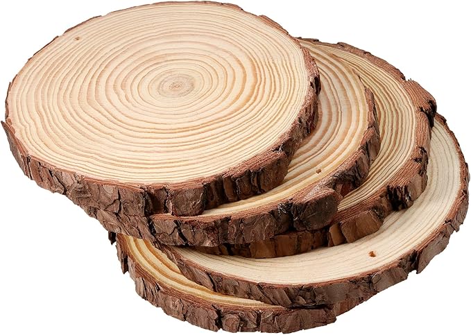 JEUIHAU 12 PCS 5.5-5.9 Inches Natural Wood Slices with Holes, Unfinished Predrilled Wooden Circles Tree Bark Slice, Blank Wooden Log Circles for DIY Crafts, Arts Wood Slices, Christmas Ornaments