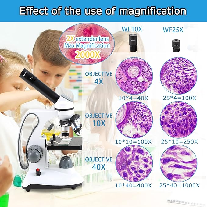 40X-2000X Microscopes for Kids Students Adults, with Microscope Prepared Slides 30p, Microscope Accessories, Phone Adapter, Microscopes for School Laboratory Home Education