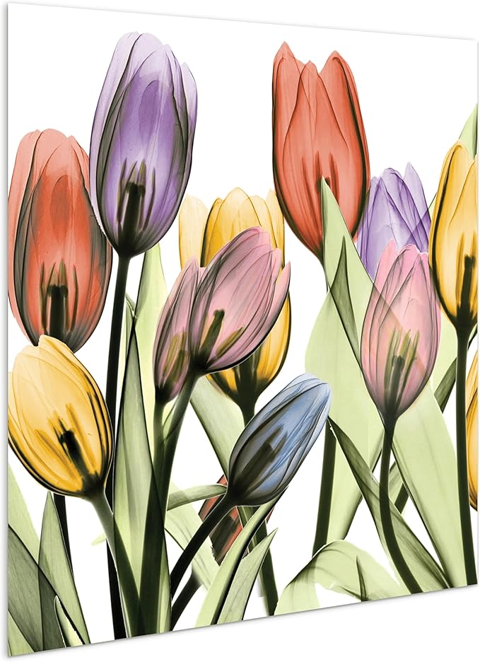 Empire Art Direct Frameless Free Floating Tempered Glass Panel Graphic Wall Art Ready to Hang, 24" x 24", Tulip Scape x-ray I