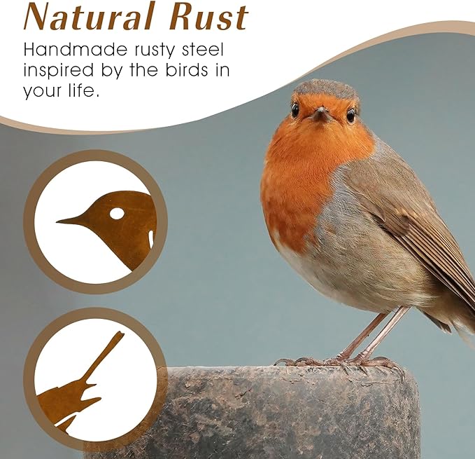 DIVINA VITAE 10Pcs Rusty Birds Decoration Lifelike Metal Birds Yard Art Simulation Bird Statue Yard Garden Decor for Outdoor Sculptures Art Fence Decorations