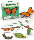 Life Cycle Kit Montessori - Realistic Figurine Toys, Kids Animal Matching Game with Butterfly, Catterpilar & More - Stocking Stuffers Science,Fun for Learning & Education Toys, for Children 3+