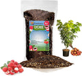 GARDENERA Premium Lychee Potting Soil Mix - Perfect Balance of Nutrients, Drainage, and Aeration for Thriving Lychee Trees - 3 Quart