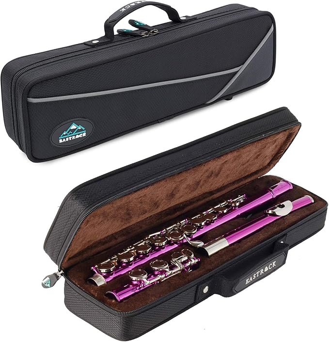 EASTROCK Closed Hole Flutes C 16 Key for Beginner, Kids, Student -Nickel Flute with Case Stand and Cleaning kit (Pink)