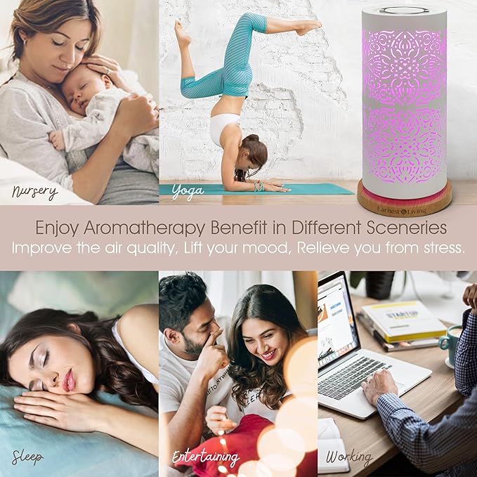 Earnest Living Waterless Diffuser 100ml Nebulizing Diffusion System for Studio Home Office Hotel Spa