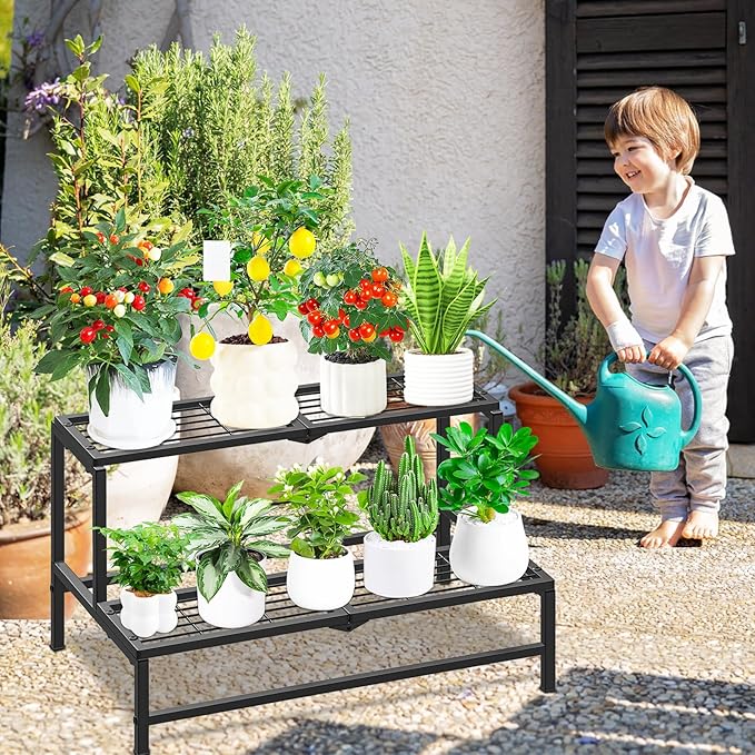 2 Tier Plant Stand Indoor Outdoor, Heavy Duty Metal Tall Plant Shelf for Multiple Flower Planter Holder, Ladder Pot Display Rack for Patio Garden Corner Balcony Living Room (Black)