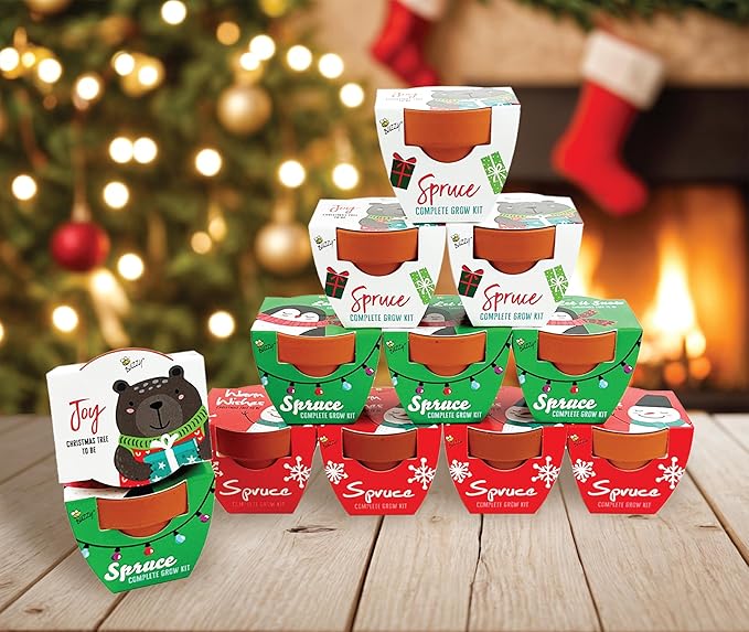 BUZZY Seeds Kids Holiday Mini Spruce Kit, 12-Pack Terracotta Pots with Bear, Penguin and Snowman Designs, All-in-One Tree Seed Starter Set, Stocking Stuffer, Children's, Party Favor