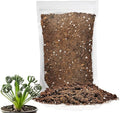 Gardenera Premium Albuca Spiralis Potting Soil Mix - Perfect Balance of Nutrients, Drainage, and Aeration for Thriving Blooms - 2 Quart