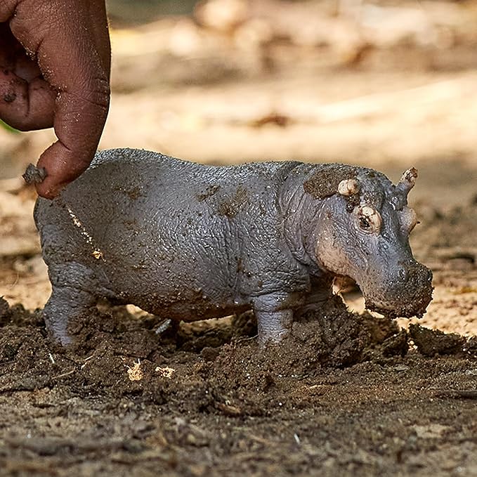 Schleich Wild Life Realistic Detailed Hippopotamus Figurine - Wild Hippo Figurine Toy for Play and Education, Highly Durable and Detailed, for Boys and Girls, Gift for Kids Ages 3+