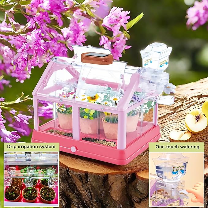Kids Plant Growing Kit Greenhouse Growing Set Terrarium Kit Kids Science Educational DIY Plant Gardening Toy, Living Greenhouse with Solar Panel, Indoor Gardening Kit