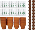 BUZZY Seeds Spruce Terracotta Mini Grow Pots – Indoor Tree Starter Kit Bulk 20-Pack – DIY Planting Kit – Grow Mini Spruce Trees for Gardening, Classroom Projects, Crafts, Gifts & Earth Day