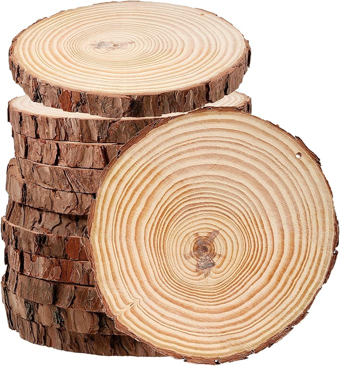 JEUIHAU 12 PCS 5.5-5.9 Inches Natural Wood Slices with Holes, Unfinished Predrilled Wooden Circles Tree Bark Slice, Blank Wooden Log Circles for DIY Crafts, Arts Wood Slices, Christmas Ornaments