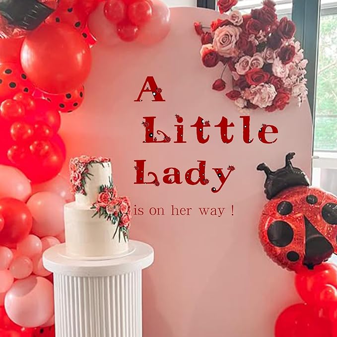 A Little Lady Is On Her Way Decal - Ladybug Party Decorations Supplies Wall Stickers, Girls Birthday/Baby Shower Party Decor Wall Decals, Balloon Arch Backdrop Decoration Ladybug Sign Stickers