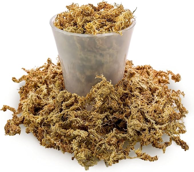 Premium New Zealand Sphagnum Moss by Gardenera - Organic Hand Mixed Long Fibered Sphagnum Moss Orchid - 4 Quart
