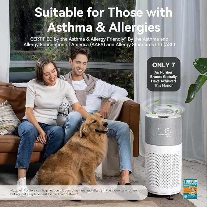 CleanForce Air Purifier for Large Rooms Up to 2550 ft², H13 HEPA Air Cleaner with Sleep Mode, Ideal for Home and Offices, Alexa Compatible, Removes Dust, Allergens, and Odors, Gray, New Edition