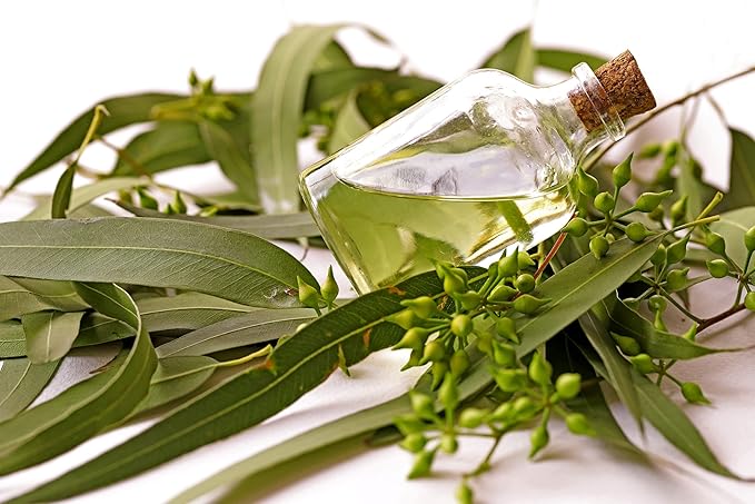 Eucalyptus Pure Oil (Globulus) - 1/2 Gallon (64 oz)