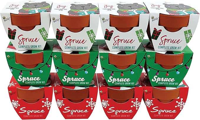 BUZZY Seeds Kids Holiday Mini Spruce Kit, 12-Pack Terracotta Pots with Bear, Penguin and Snowman Designs, All-in-One Tree Seed Starter Set, Stocking Stuffer, Children's, Party Favor