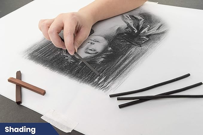 Pacific Arc Artist Vine Charcoal, Medium, Black 12 Pieces, Artist Vine Charcoal Sticks, Medium and Smooth Drawing Charcoal