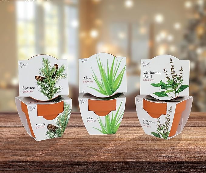 BUZZY Seeds Terracotta Mini Grow Pots | Herb, Plant, Flower Starter Kit for Kids & Adults | Assorted 6-Pack, Radiant Collection | Guaranteed to Grow | Best Indoor Grow Your Own Plant Gardening Gift