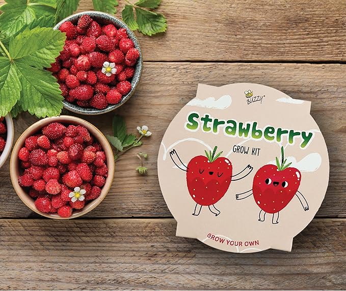 BUZZY Seeds Mini Basin Gardening Kit with Strawberry Seeds for Planting, Flowering Fruit Starter Set, Indoor Plants for Kids and Adults, DIY Plant Project, Children's Birthday Present, Party Favor