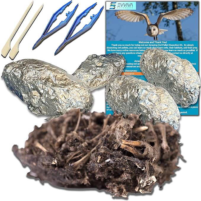 Amazing Owl Pellet Dissection Kit 5-Piece Set for Science Lab Projects Includes Tweezers and Wooden Probes Ideal for Ages 15 & Older Barn Owl eBook Included