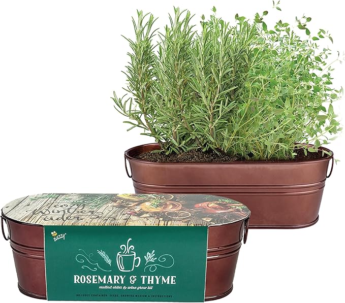 BUZZY Seeds Indoor Herb Garden Kit | Grow Rosemary and Thyme with Non-GMO Seeds | DIY Windowsill Planter Starter Set for Kitchen Countertop, Indoor Gardening, Holiday Gift, Home Decor