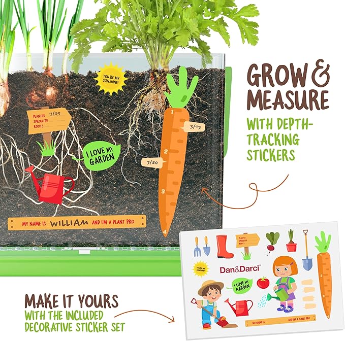 Dan&Darci Root Viewer Kit for Kids - Grow Your Own Plant for Boys & Girls Gifts - Science STEM Toy & Craft Growing Kits for Ages 4-8 Birthday Gifts for Boy, Girl 4, 5, 6, 7, 8, Year Old - Gardening