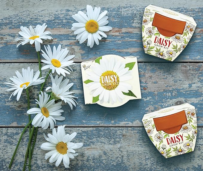 BUZZY Seeds Daydream Mini Terracotta Pots 12-Pack with Daisy Seed Packets – All-in-One Starter Set with Growing Medium and Easy Instructions, Gardening Gift, Wedding Favors, Corporate Gifting