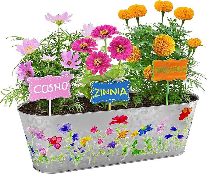Dan&Darci Paint & Plant Flower Growing Kit for Kids - Gift Ideas Age 5 6 7 8-12 Year Old Girl - Birthday Crafts Gifts for Girls & Boys, Fun Children Gardening Kits, Art Projects for Ages 5-12 Years