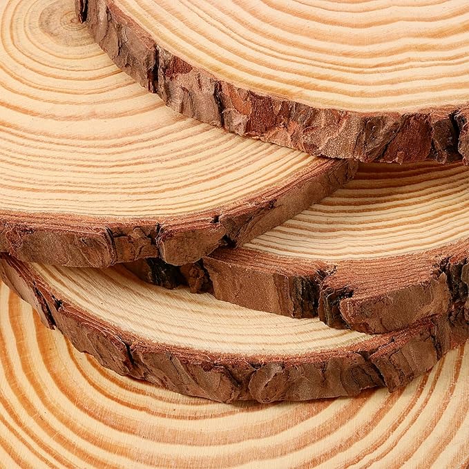 JEUIHAU 10 PCS 6.7-7 Inches Natural Unfinished Wood Slices, Round Wooden Tree Bark Discs, Wooden Circles for DIY Crafts, Christmas, Rustic Wedding Ornaments